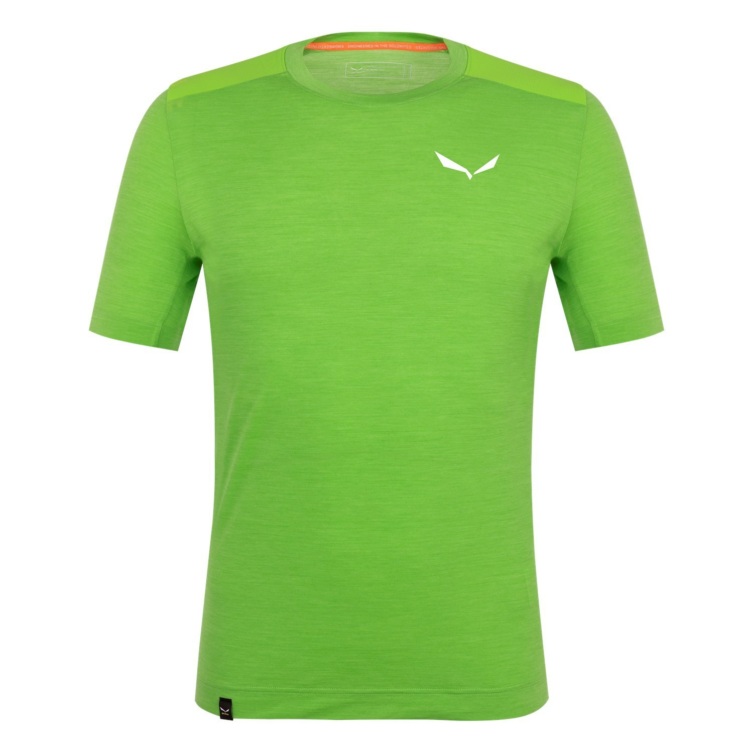 Férfi Salewa Agner Merino T-Shirt Rövid Ujjú Ing Zöld | 0472-SHQCB