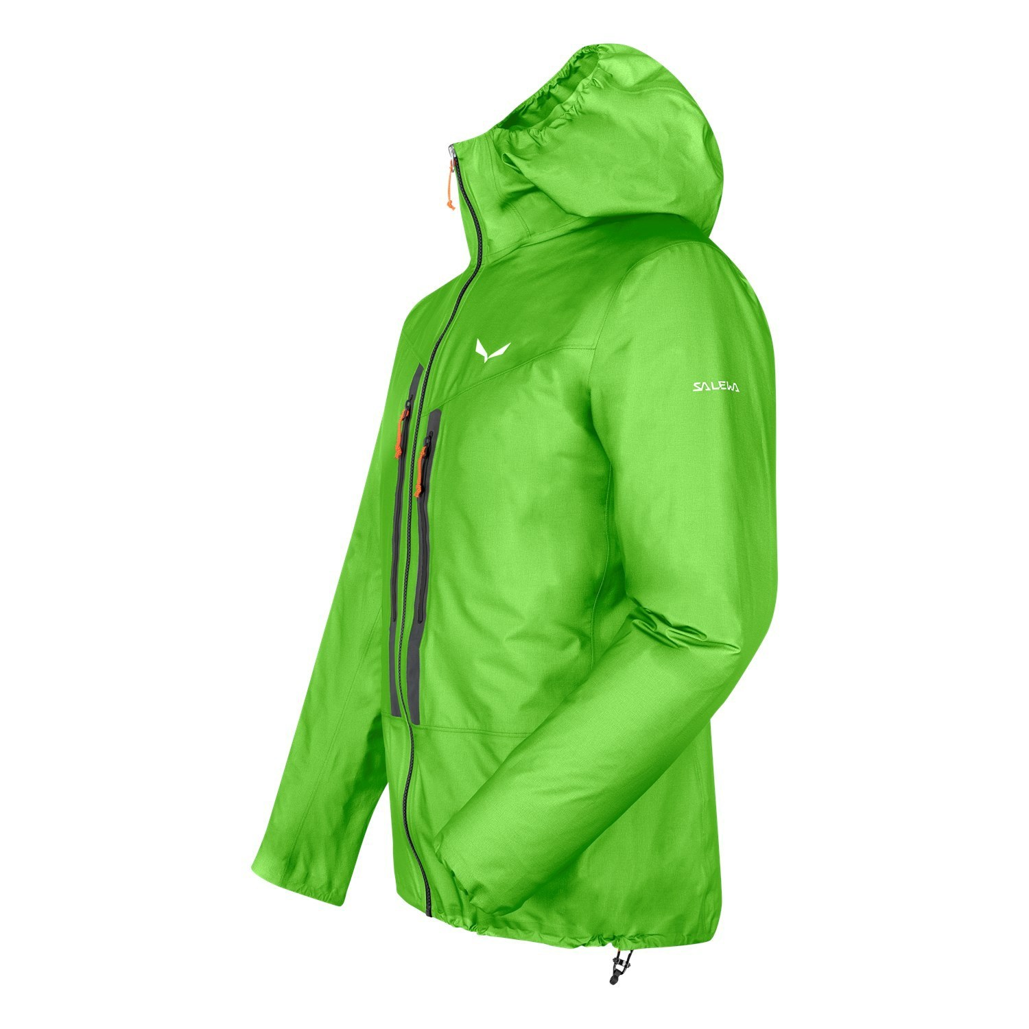 Férfi Salewa Lagorai GORE-TEX® Active Hardshell Kabát Zöld | 6781-OJECZ