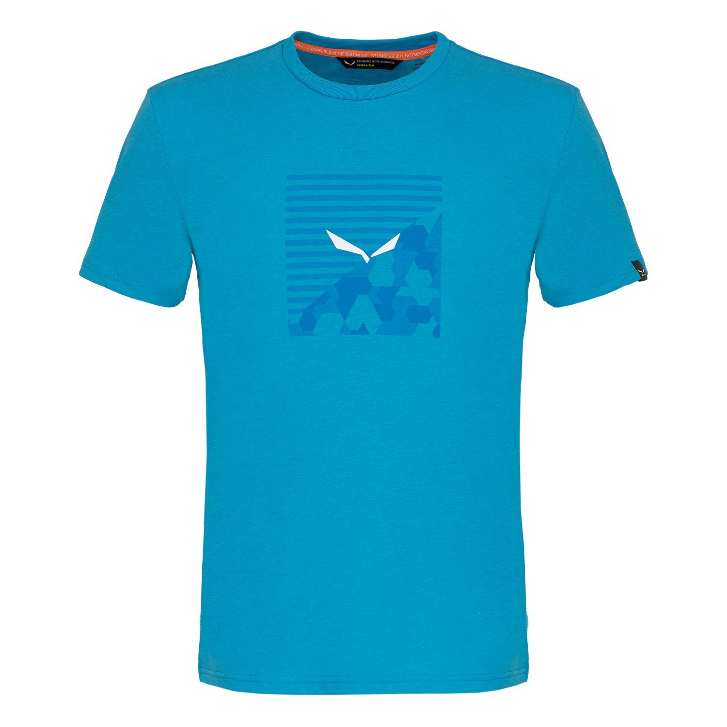 Férfi Salewa Printed Box Dry T-Shirt Rövid Ujjú Ing Szürke | 9083-CWGVS