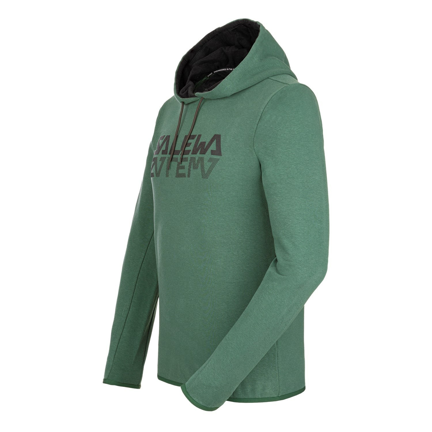 Férfi Salewa Puez Hemp Logo Hoodie Kapucnis Pulóver Zöld | 7690-RCDOZ