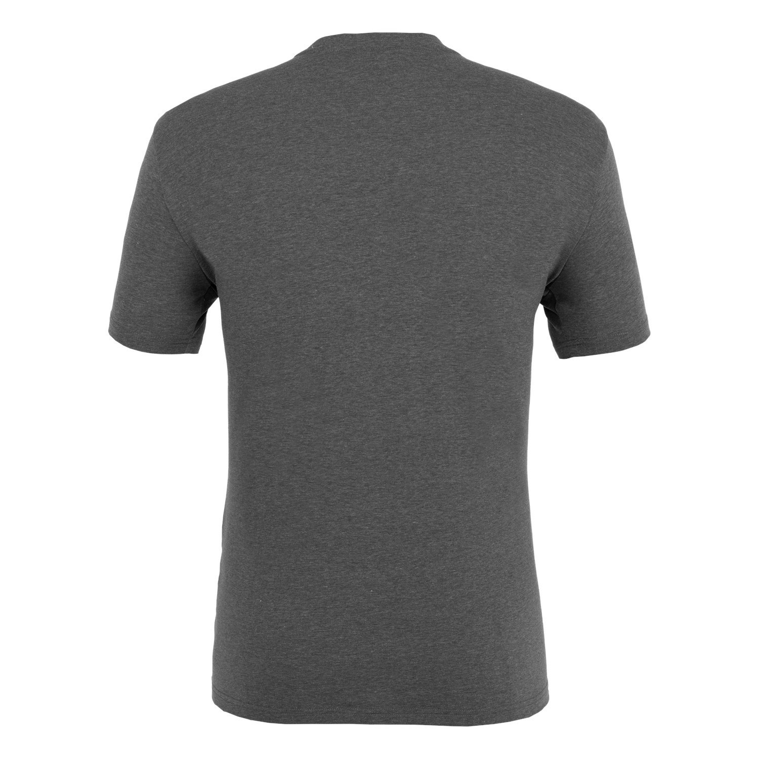 Férfi Salewa Pure Box Dryton T-Shirt Rövid Ujjú Ing Szürke | 1849-KEXRU