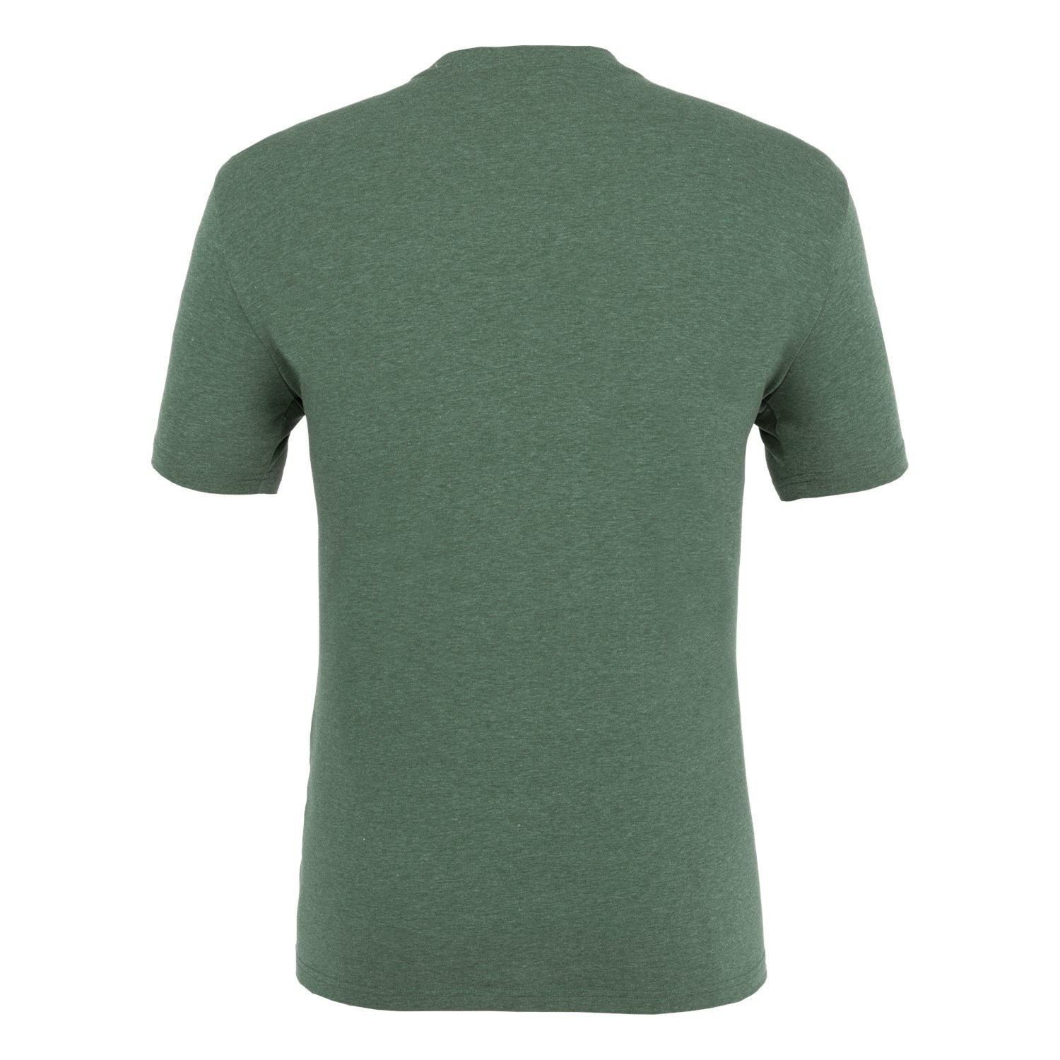 Férfi Salewa Pure Box Dryton T-Shirt Rövid Ujjú Ing Zöld | 3059-ARKUQ