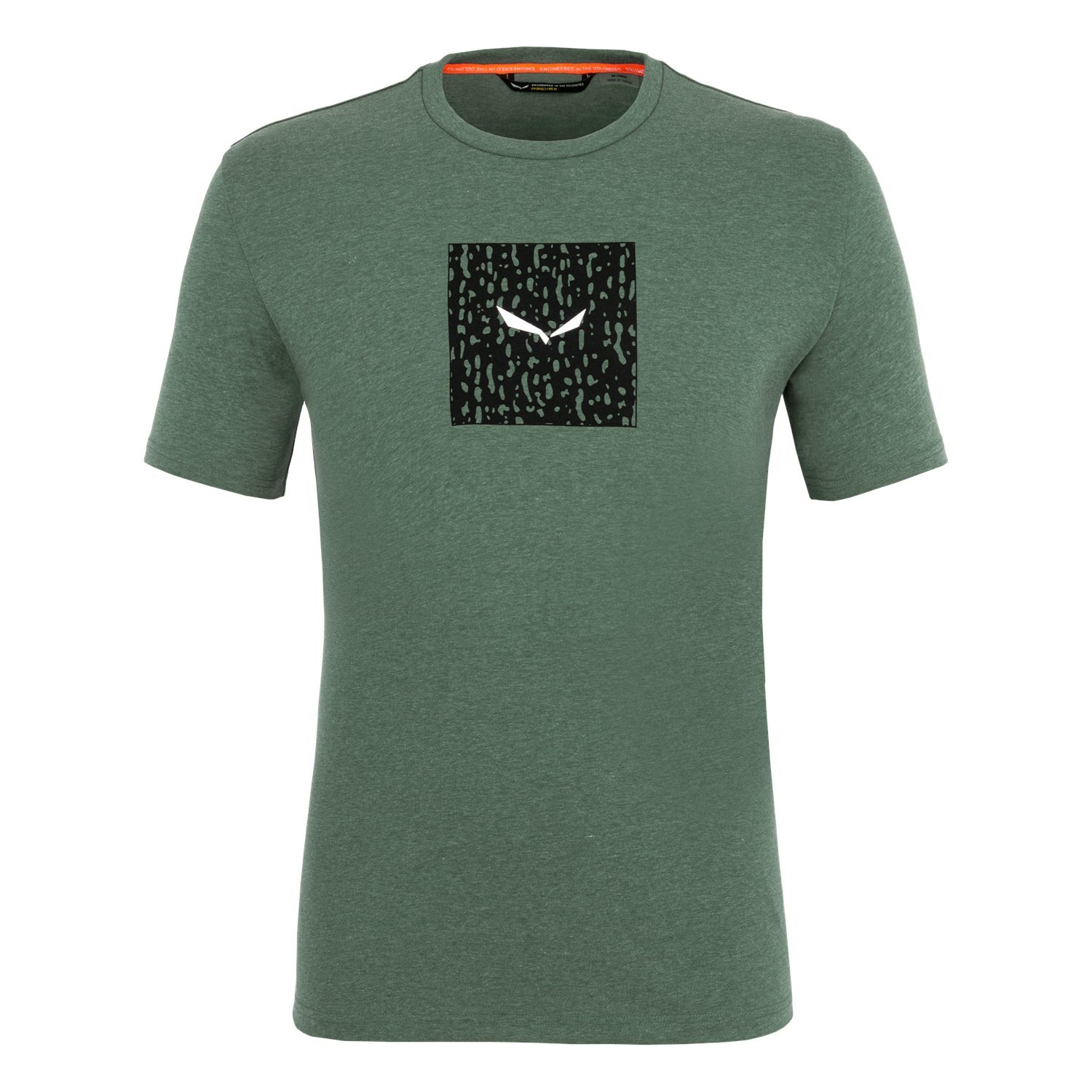 Férfi Salewa Pure Box Dryton T-Shirt Rövid Ujjú Ing Zöld | 3059-ARKUQ