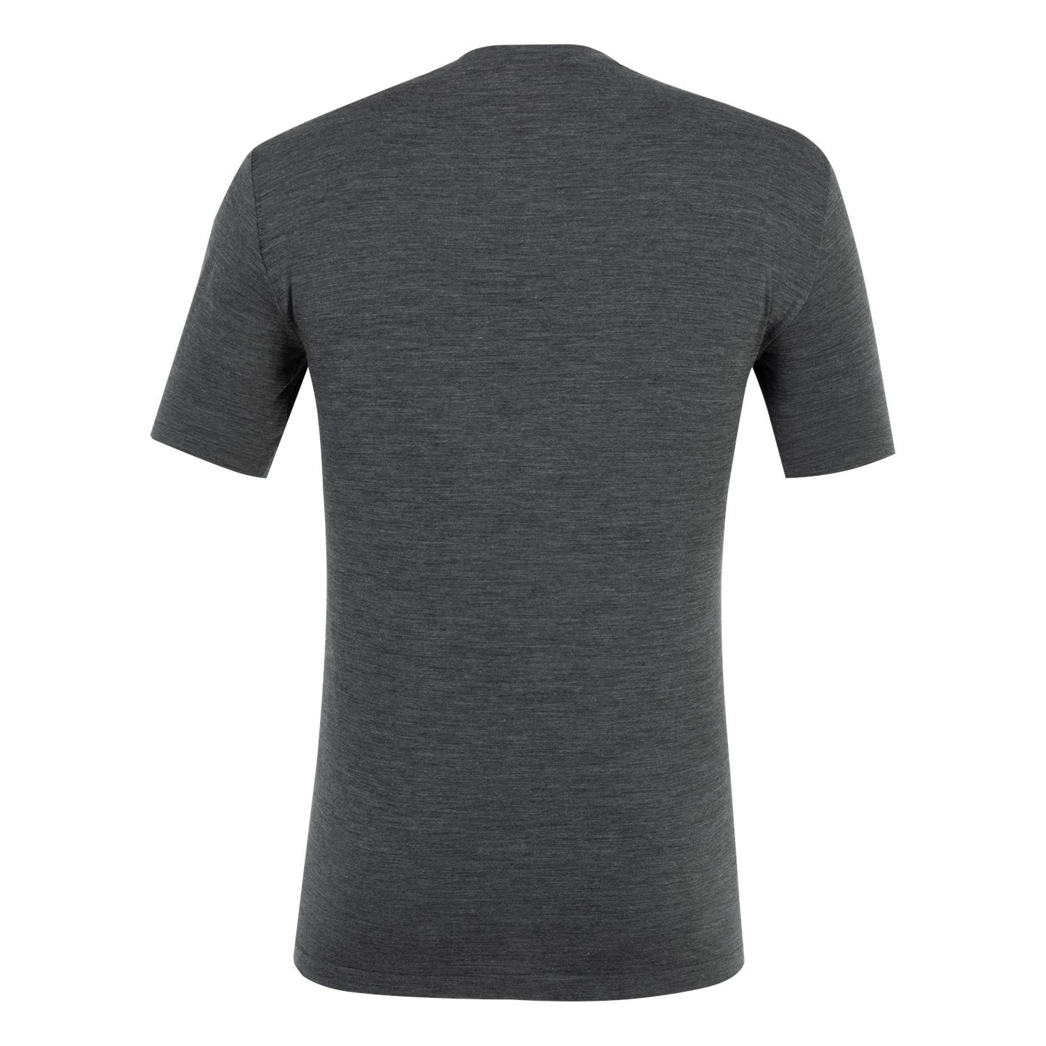 Férfi Salewa Pure Eagle Merino Responsive Seamless T-Shirt Rövid Ujjú Ing Szürke | 5913-HAYLW