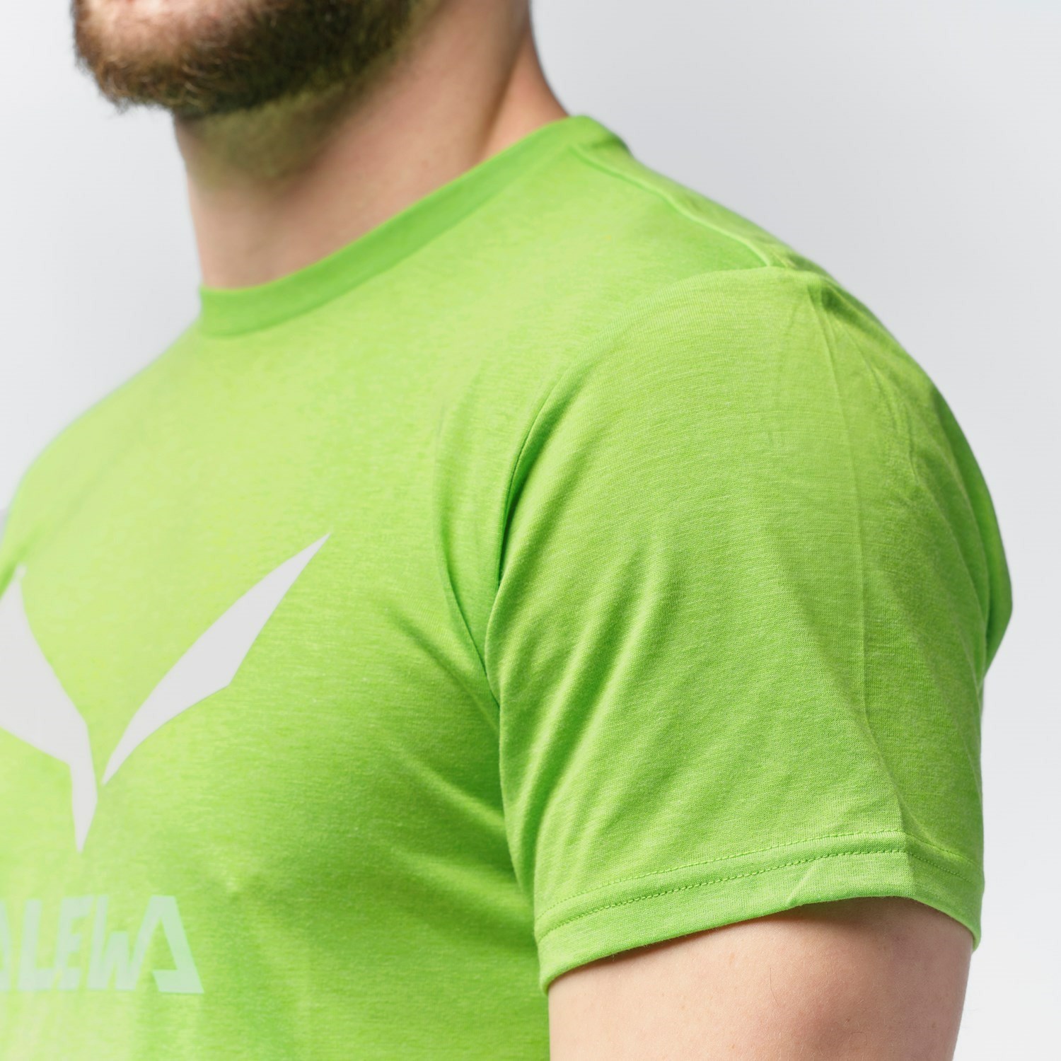 Férfi Salewa Solidlogo Dri-Release® T-shirt Rövid Ujjú Ing Zöld | 4562-AMZJC