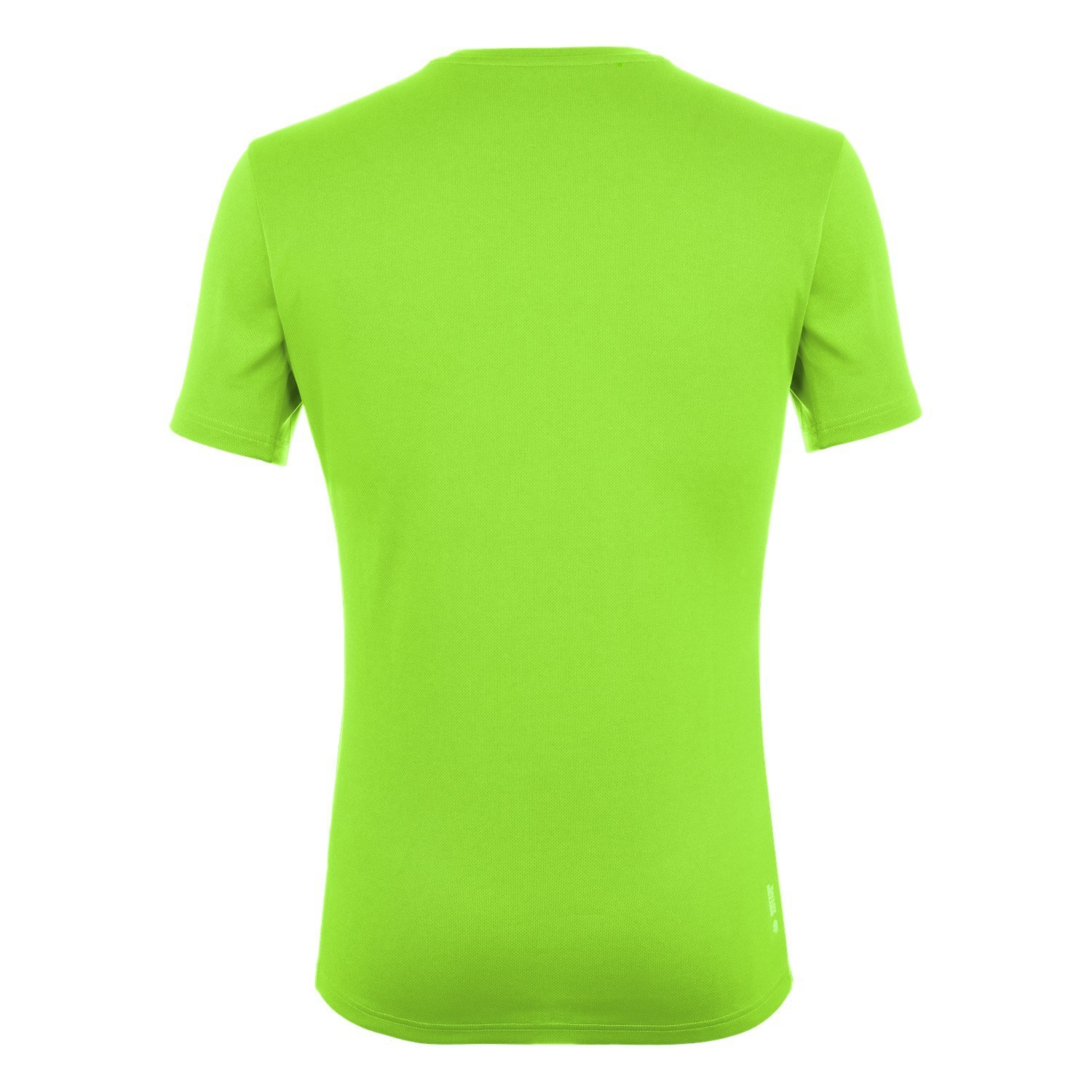 Férfi Salewa Sportos Graphic Dry T-shirt Rövid Ujjú Ing Zöld | 2841-OBIKU