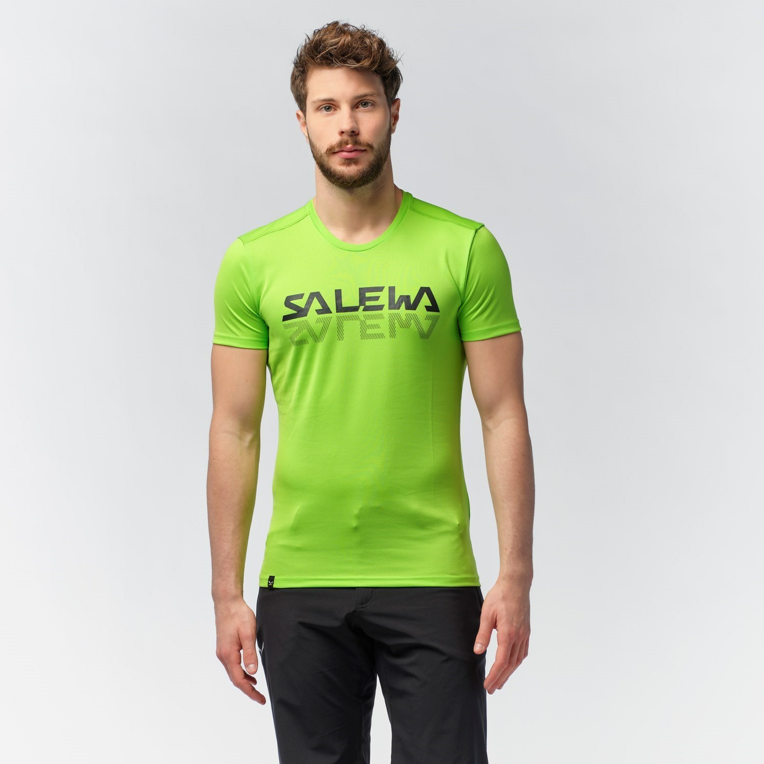 Férfi Salewa Sportos Graphic Dry T-shirt Rövid Ujjú Ing Zöld | 2841-OBIKU