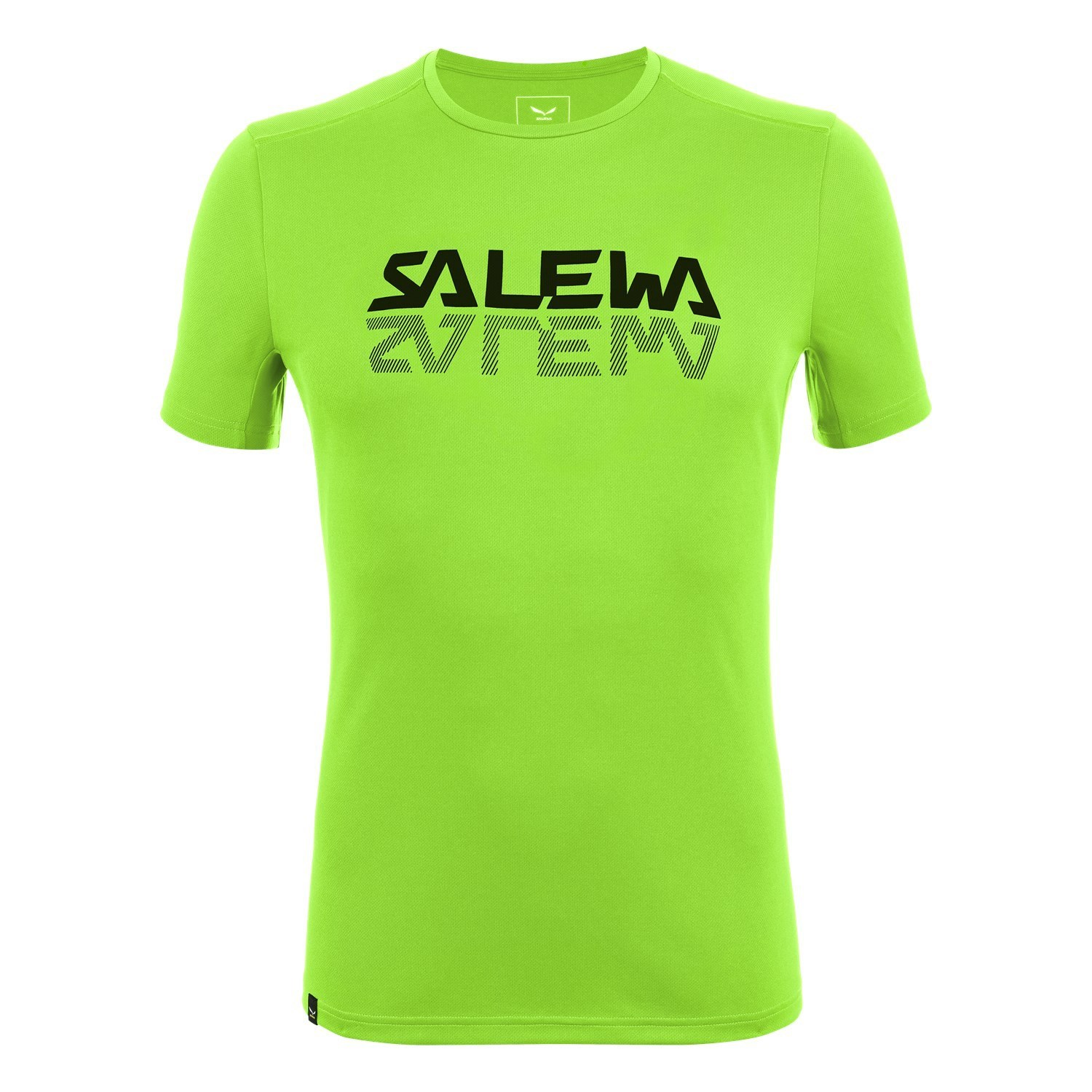 Férfi Salewa Sportos Graphic Dry T-shirt Rövid Ujjú Ing Zöld | 2841-OBIKU