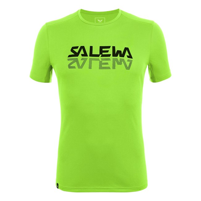 Férfi Salewa Sportos Graphic Dry T-shirt Rövid Ujjú Ing Zöld | 2841-OBIKU